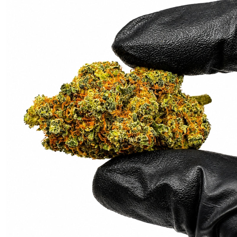 Sour Sherbet
