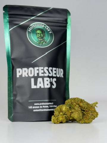 Caviar Haze