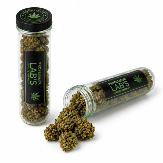 Crystal Amnesia "Pocket Buds"