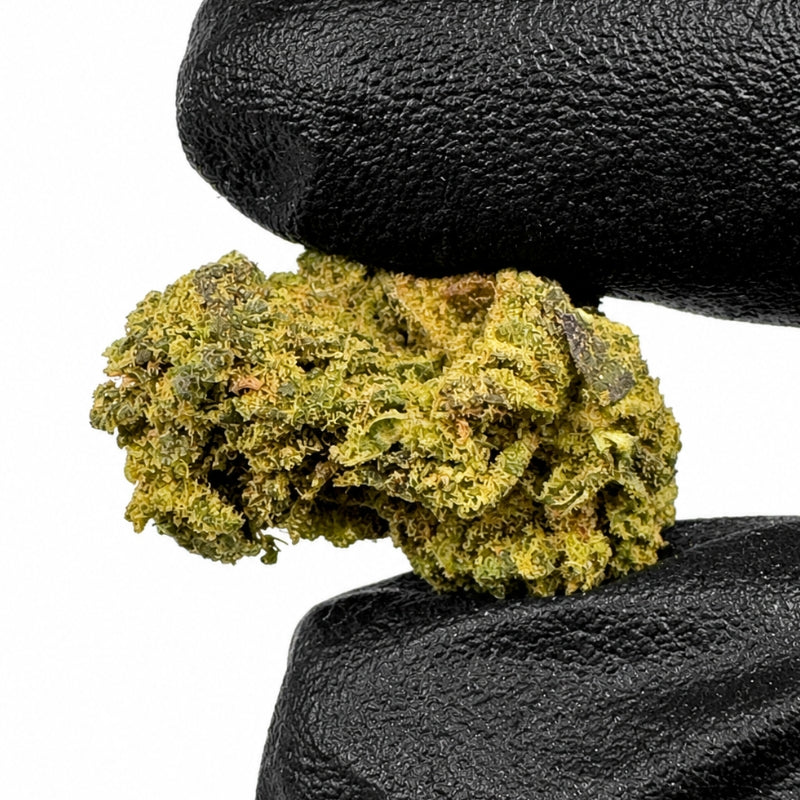 Blue Mango