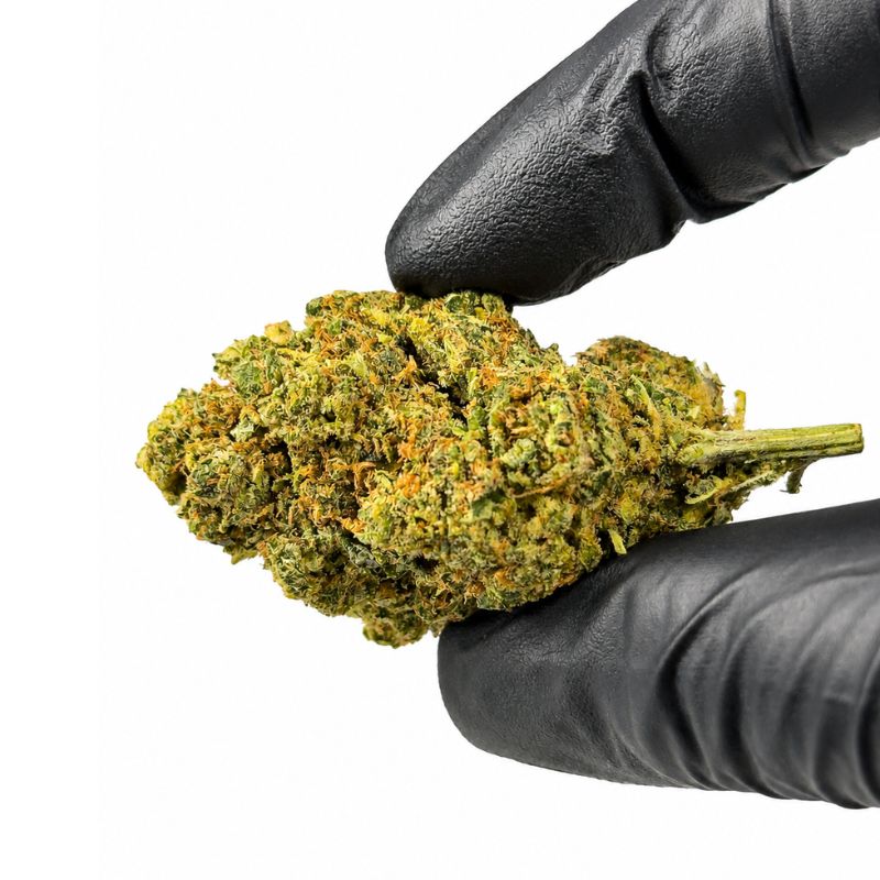 Caviar Haze