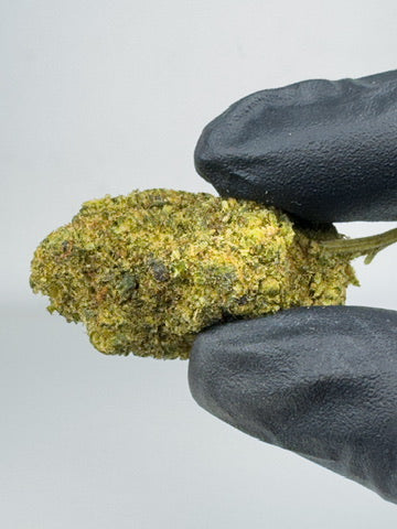 White widow