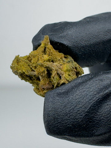 Blue Mango