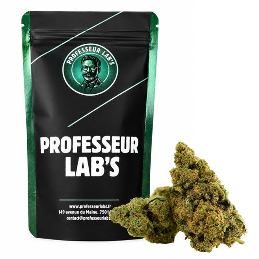 Bubble Gum CBD – Fleur CBD Professeur Labs